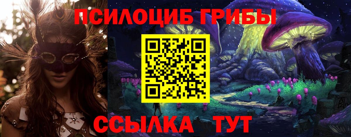 Воткинск  Псилоцибиновые грибы MAGIC MUSHROOMS  Вход с VPN 