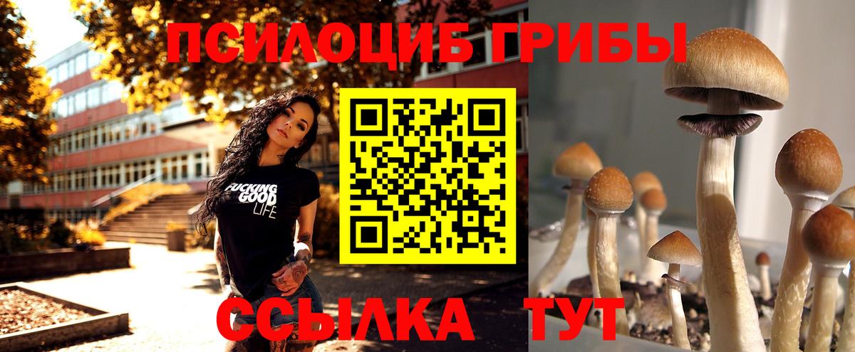 Галлюциногенные грибы Magic Shrooms Воткинск